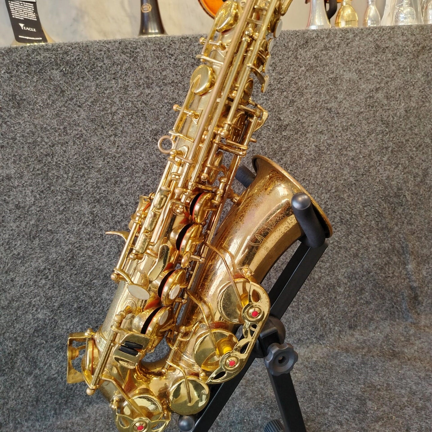 Saxofone Alto Shelter SGFT6430 – Usado