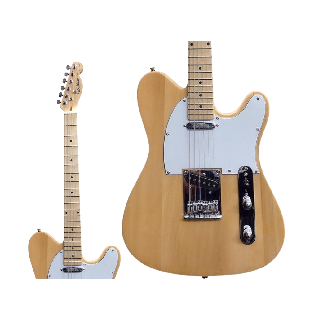 Guitarra WALDMAN GTE-200 NAT