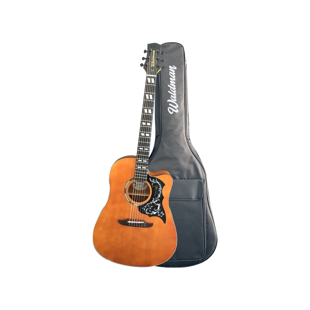 Violão Cordas de Aço Waldman TDCEX-641 NA