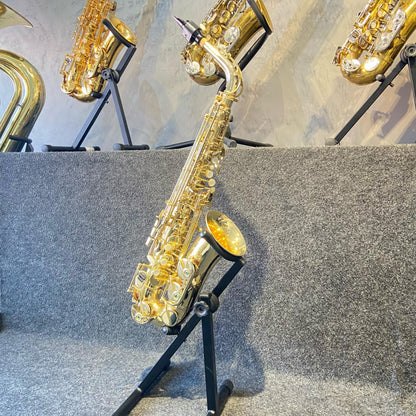 Sax Alto Weingrill & Nirschl WNAS1 Mib – Usado