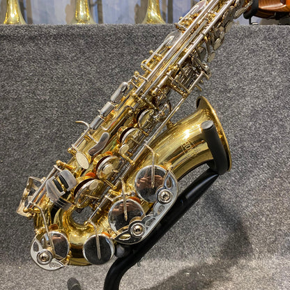 Sax Alto Hoyden – Usado