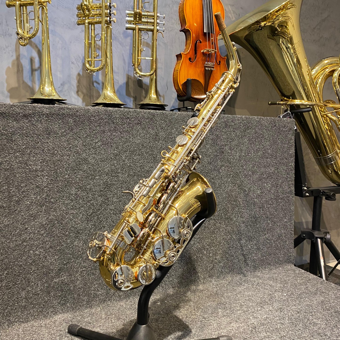 Sax Alto Hoyden – Usado