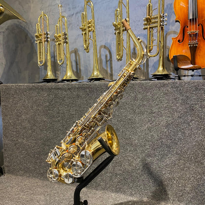 Sax Alto Hoyden – Usado