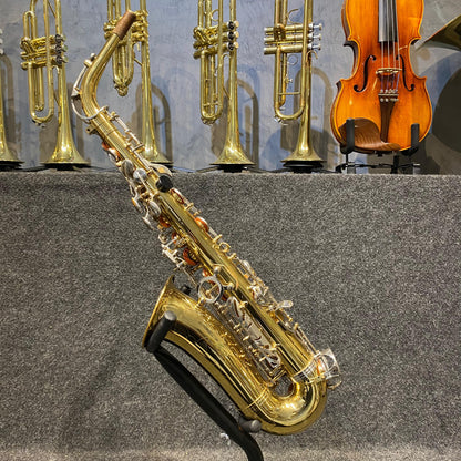 Sax Alto Hoyden – Usado