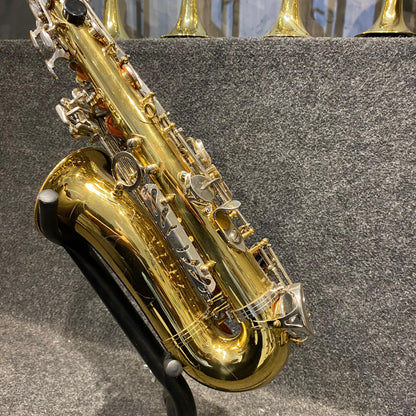 Sax Alto Hoyden – Usado