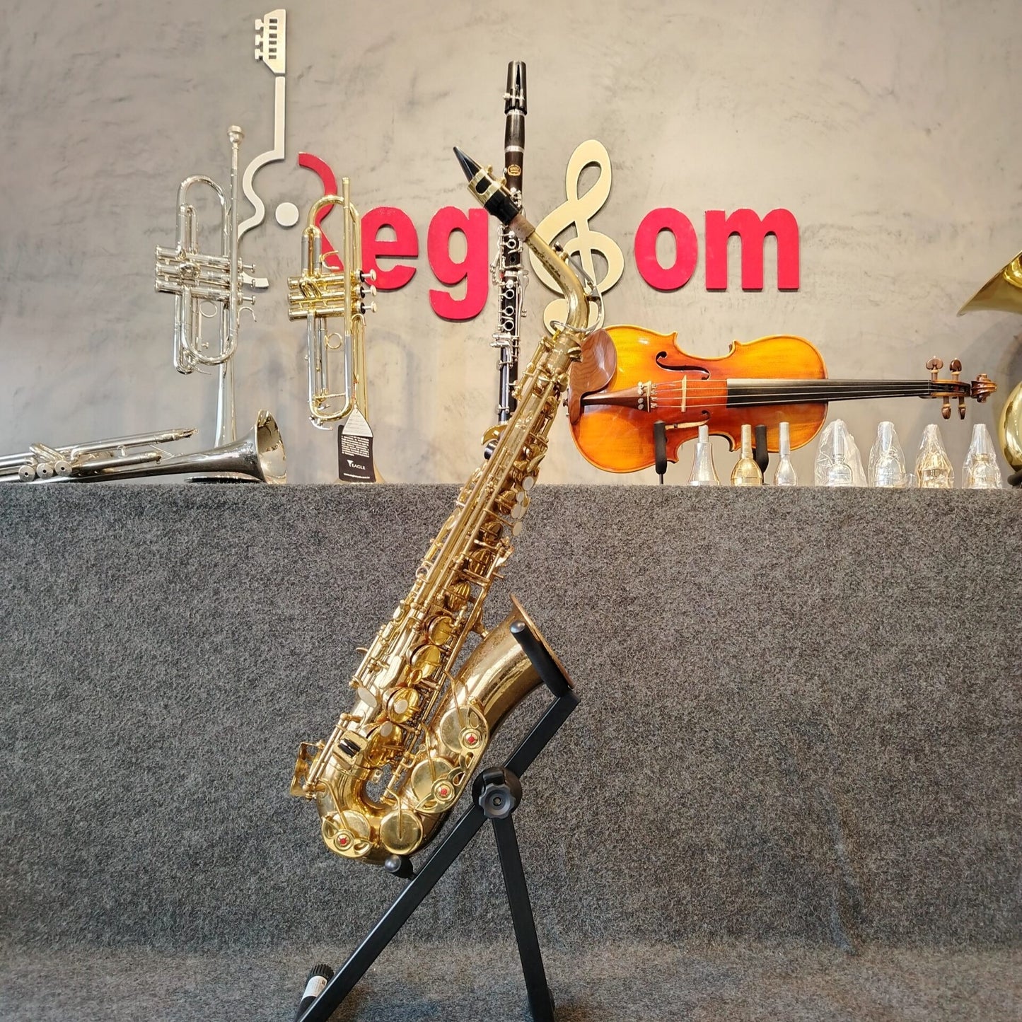 Saxofone Alto Shelter SGFT6430 – Usado