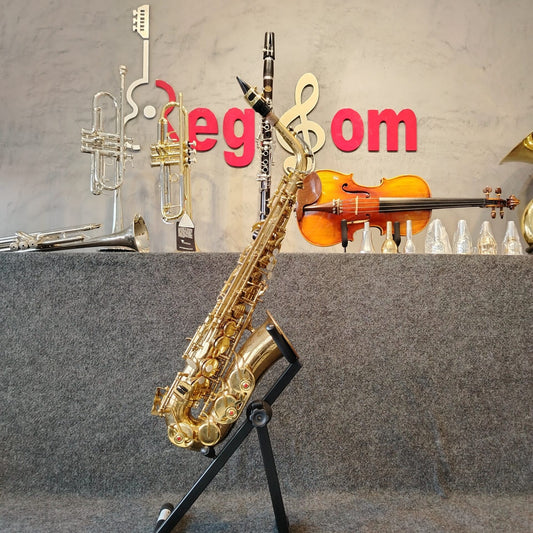 Saxofone Alto Shelter SGFT6430 – Usado
