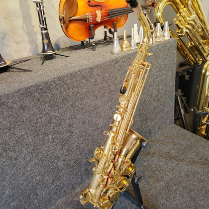 Saxofone Alto Shelter SGFT6430 – Usado