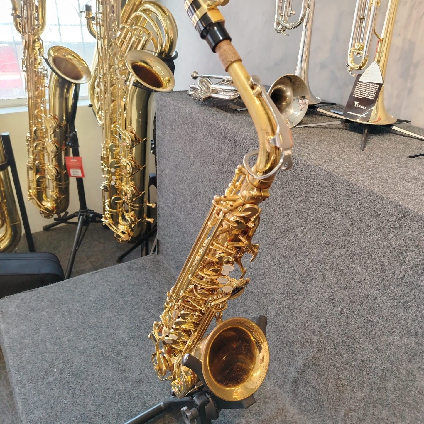 Saxofone Alto Shelter SGFT6430 – Usado