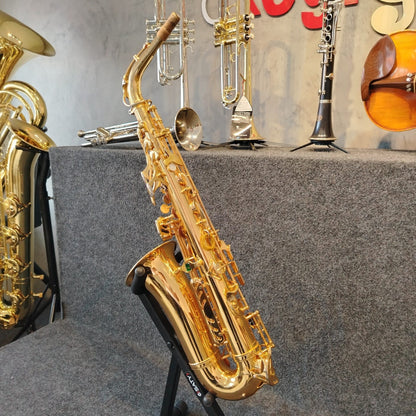 Sax Alto Weril Spectra II A932 – Usado