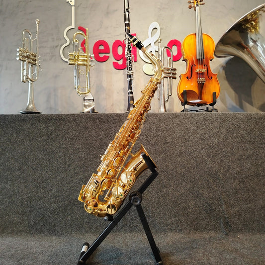 Sax Alto Weril Spectra II A932 – Usado