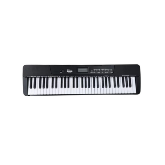 Teclado WALDMAN WTS-300 BK