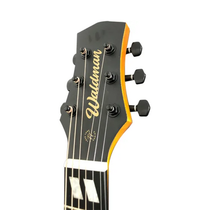 Violão Cordas de Aço Waldman TDCEX-641 NA